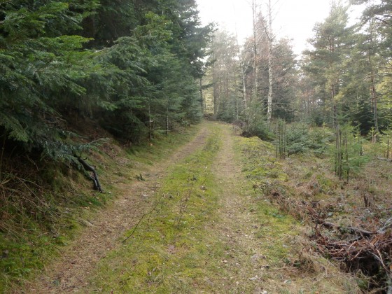 Chemin de la fontaine de Fauvert