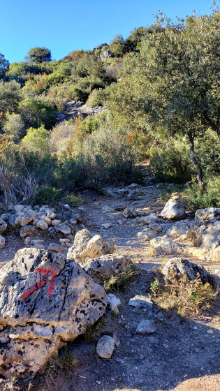 chemin de la grotte