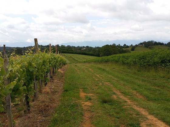 Chemin de la Hélère.