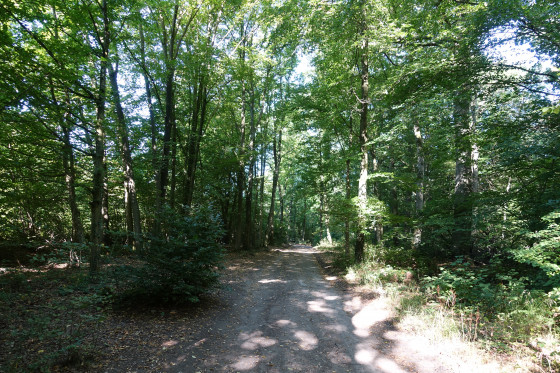 Chemin de la Mare des Eaux