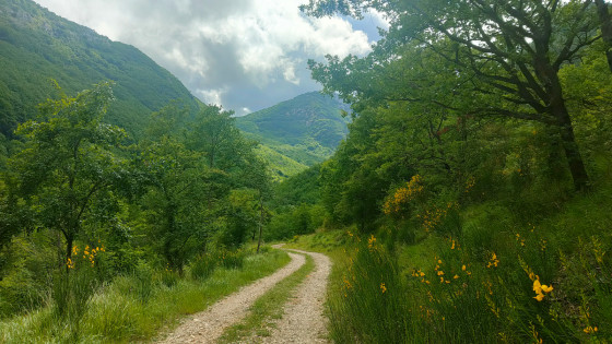 Chemin de la mine