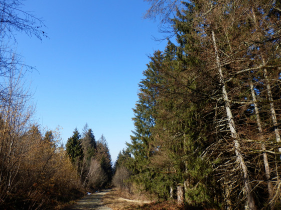 Chemin de la mont&eacute;e