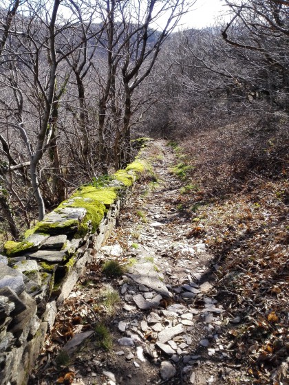 Chemin de la montée