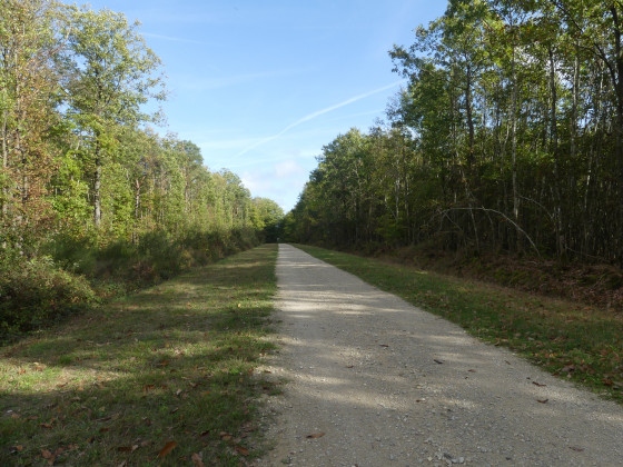 Chemin de la Queue d'Auneau