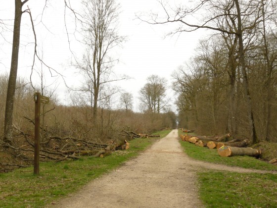Chemin de la queue d'Auneau