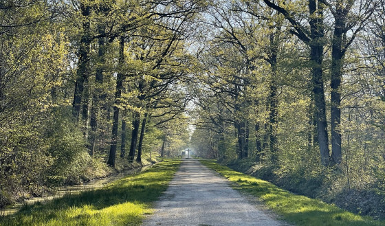 Chemin de la Queue d'Auneau