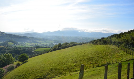 Chemin de la Rhune