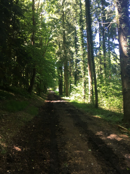 Chemin de la rigole