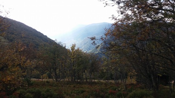 Chemin de la source de la Thur