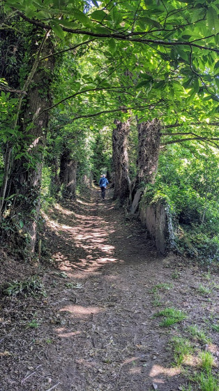 Chemin de Liscuis