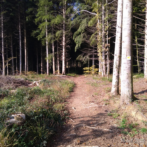 Chemin de lisière, chemin de randonnée.