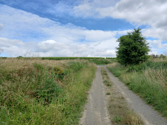 Chemin de Long Gu&eacute;