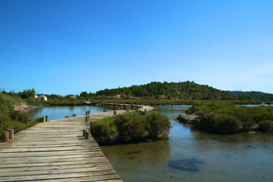 Chemin de planches