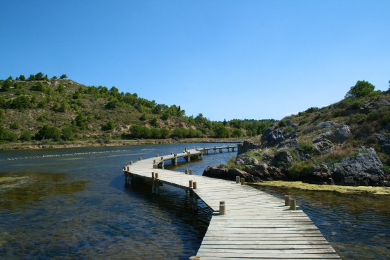 Chemin de planches