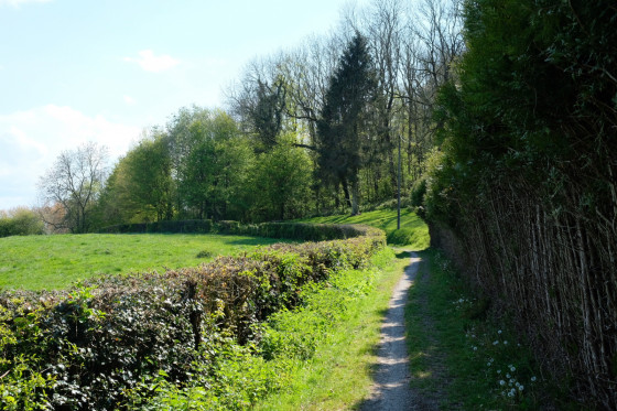 Chemin de randonnée