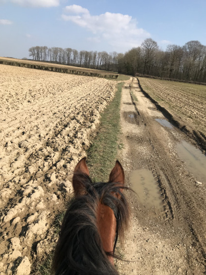 Chemin de randonnée