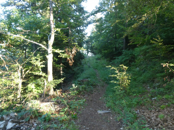 Chemin de randonnée