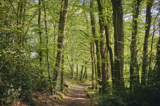 Chemin de randonn&eacute;e
