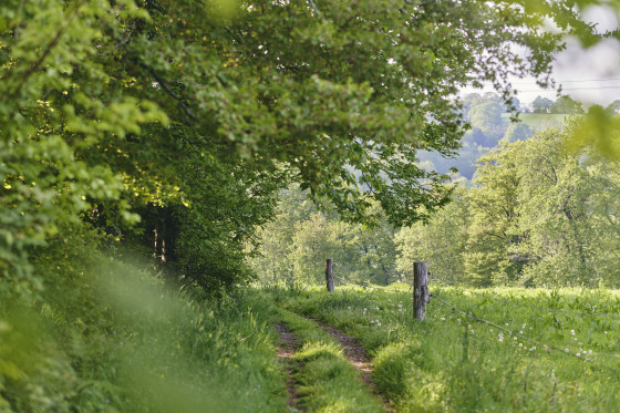Chemin de randonnée
