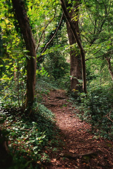 Chemin de randonn&eacute;e