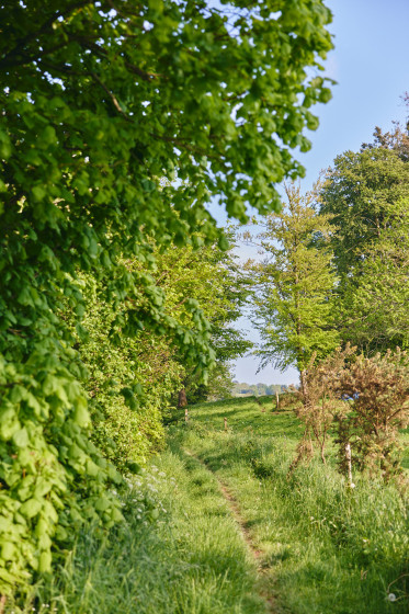Chemin de randonnée