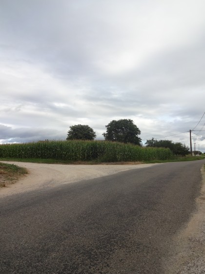 Chemin de remembrement