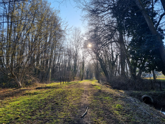 Chemin de retour