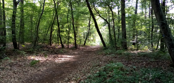 Chemin de Saint-Aubin