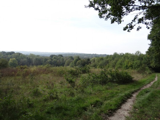 Chemin de Saint-Arnoult à Saint-Maurice