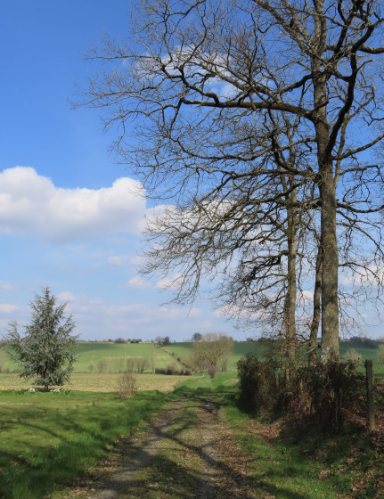 Chemin de Tabois
