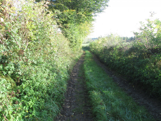 Chemin de terre des quatre vaches