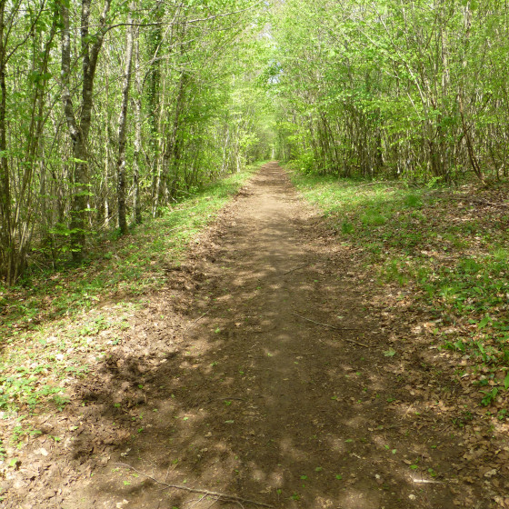 Chemin de terre