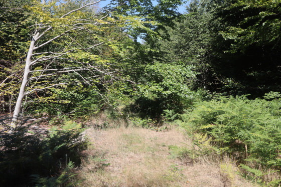 Chemin de Thunimont