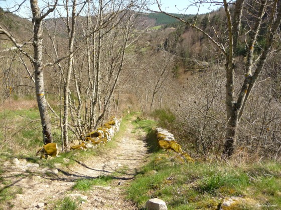 Chemin de Veyrines