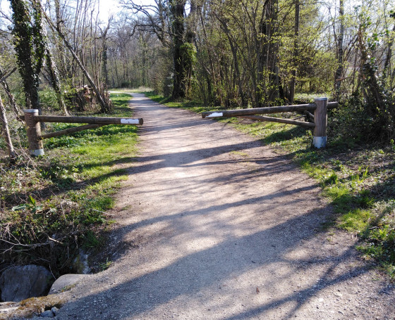 Chemin derrière le Cern
