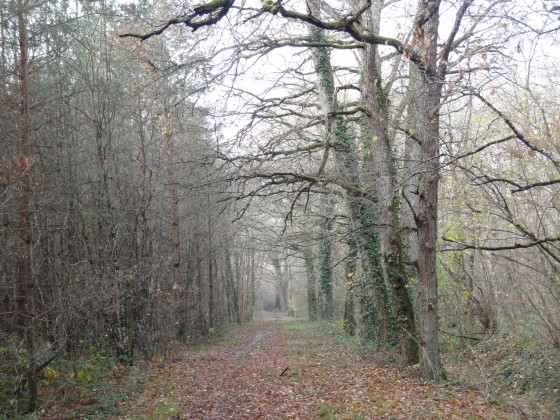 Chemin des Anes