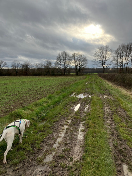 Chemin des B&oelig;ufs