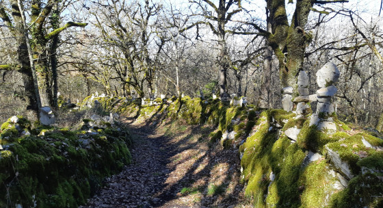 Chemin des cairns