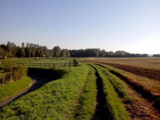 Chemin des champs