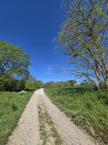 Chemin des clos