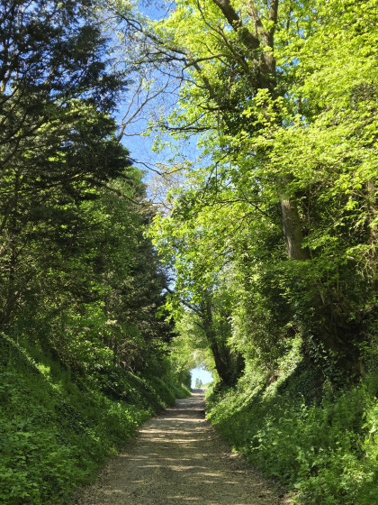 Chemin des clos