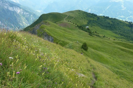 Chemin des crêtes