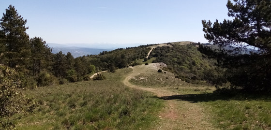 Chemin des crêtes