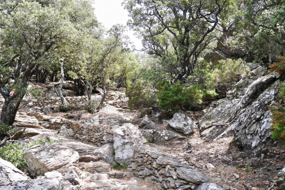 Chemin des Gardes empierr&eacute; parfaitement restaur&eacute;