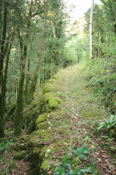 Chemin des gardes