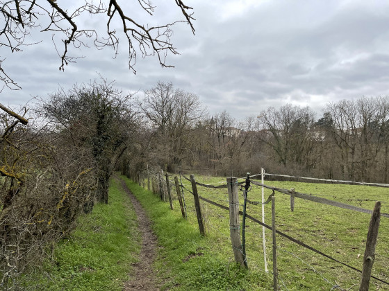 Chemin des Granges Basses