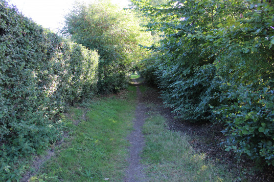 Chemin des Ormes