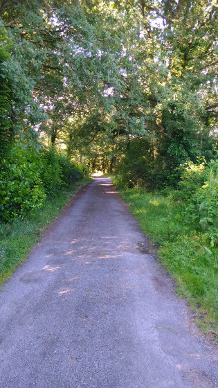 Chemin des Perdriaux
