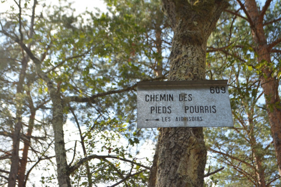 Chemin des pieds pourris