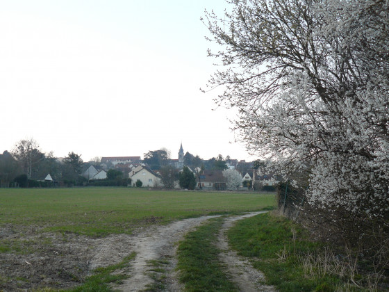 Chemin des prés